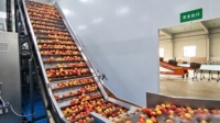 Ligne de production de jus de goyave, pomme et poire industrielle, équipement de transformation de la pulpe de fruits pour matières premières fraîches