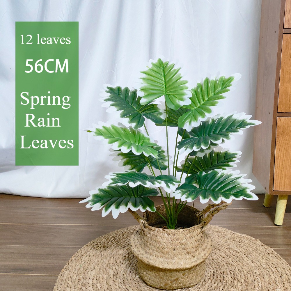 12 feuilles (hors pot)56cm
