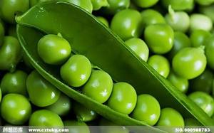 Food Grade Organic <strong>White</strong> Powder <strong>Pea</strong> Starch Factory <strong>Price</strong> with Good Quality
