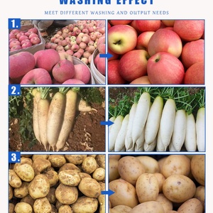 Machine de lavage à brosse souple personnalisée pour fruits et légumes racineux avec réservoir de trempage et sécheuse à ventilateur - Product Image 6
