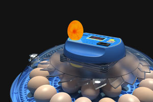 Nhà sử dụng năng lượng kép công suất 80 trứng tự động lồng ấp trứng máy - Product Image 6