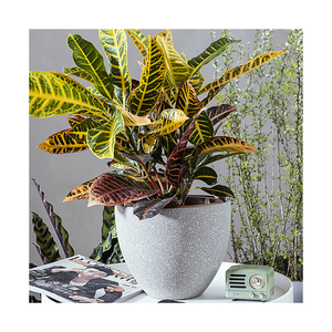 Amei Factory Supply - Grandes jardinières d'extérieur modernes en plastique PP, design contemporain, pour usage domestique, couleur et logo personnalisables - Product Image 2