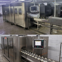 Presse à froid de fruits et légumes frais naturels Machine de pasteurisation à haute pression HPP Machine de traitement de jus