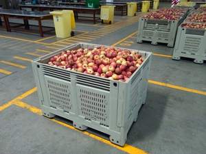 צריף פירות תעשייתי 1210h810a 1200x1000x810 hdpe/pp מתלה קל חובת קריסת מיכל 4000 ק "ג קיבולת - Product Image 3