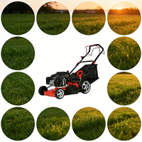 Tondeuse à gazon CE pour parcours de golf 173cc, poussée manuelle, 20 pouces, bac de ramassage 55L, 7 vitesses, équipement agricole, moteur pour fairway européen