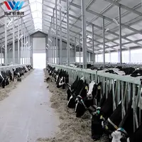 Estructura de acero prefabricada, cobertizo para granja de ganado, vaca lechera