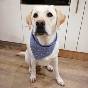 בנדנה משולשת לכלבים מבד כותנה אקולוגי עם הדפס כחול ולוגו מותאם אישית של GMTPET לכל עונות השנה - Product Image 5