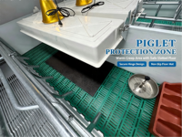 Cage de maternité pour porcs BCPC-FC galvanisée à chaud, personnalisable, avec options de taille pour la gestation des truies