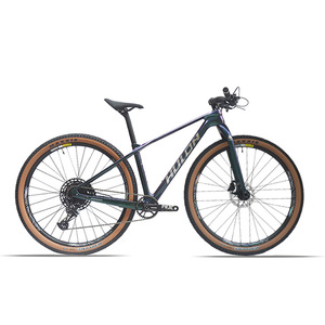 Vélo de montagne Hulda 29 pouces en fibre de carbone, frein à disque à câble interne 12 vitesses pour adultes - Product Image 1