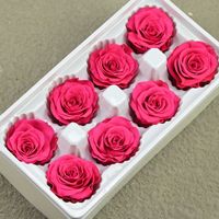 Fleur éternelle de qualité B, 4-5 roses séchées, couverture en verre artisanale, licorne, matériel de bricolage, petit ours