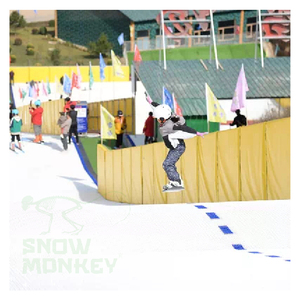 Tappeto da Sci Asciutto in Vendita, Pista da Sci Asciutta Snow Monkey, Pista da Sci Artificiale - Product Image 3