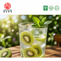 Premium bulk IQF diepvries kiwi fruitschijfjes voor jam, puree, saus en ijs en snoepbereiding