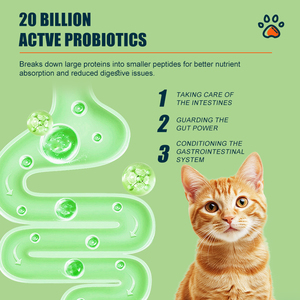 Nouvelles croquettes sèches riches en protéines sans grains pour animaux de compagnie avec des formes assorties pour chats et chiens-<span class=keywords><strong>Premium</strong></span> Nutrition Snacks - Product Image 2