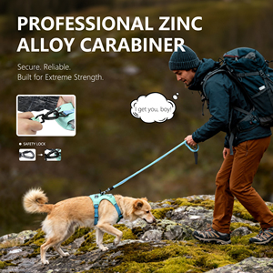 Correa de Nailon Ajustable y Antideslizante de Nunbell Factory, Correa Sólida y Suave sin Tirones, Control con Mosquetón de Aleación de Zinc, Profesional para Perros - Product Image 4