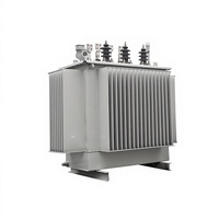 Transformador Sumergido en Aceite Modelo S20 de 800kw 1000 KVA de Alta Tensión para Montaje en Poste de 500 KVA con Aleación Amorfa