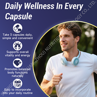 Capsules de soutien de la prostate à base de plantes OEM avec du palmier nain, des graines de citrouille et du Pygeum pour la santé urinaire des adultes unisexes - Sans sucre