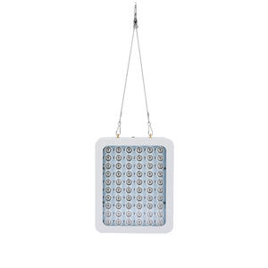 Lampe de culture LED 318 1000W à spectre complet pour plantes hydroponiques, lampe phyto pour légumes et fleurs, serre intérieure, phytolampe - Product Image 2