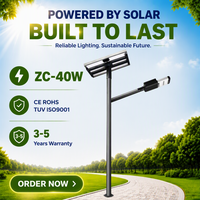 Lampe solaire de rue LED étanche IP66 40W, construction en alliage d'aluminium, batterie LiFePO4, extérieur, CE RoHS