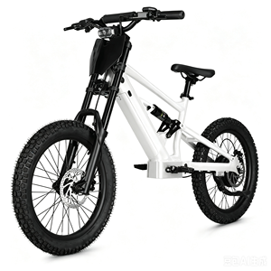 Bicicleta de Equilibrio para Niños de 20 Pulgadas, 48V, 6.0AH, 1000W, Diseño sin Escobillas, Sensor Inteligente, Litio, Aluminio, para Niños - Product Image 6