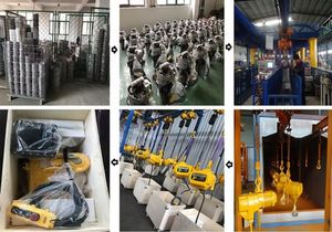 Allman עומס כבד מנוף כפול 220v 380v 3p שרשרת חשמל להניף 1 טון עבור הרמת סחורות פוליפסטטו eléctrico - Product Image 4