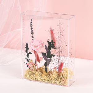 Alta qualità fai da te colorato secco pianta pianta da tavolo decorazione acrilico scatola di fiori - Product Image 1