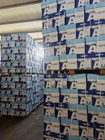 Prix d'usine de marque OEM Fourniture de papier de copie Rouleau jumbo Découpe de matière première pour papier d'impression de bureau blanc A4