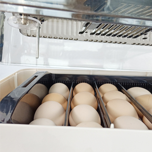 Canios — incubateur d'œufs populaire pour aliments, <span class=keywords><strong>couveuse</strong></span> avec 24 œufs Incubateur automatique pour 24 œufs de poulet, <span class=keywords><strong>couveuse</strong></span> - Product Image 6