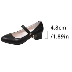 Pointed Toe Thick Heel Professional Flats Plus Size Autumn New Shallow Mouth Flats for Women - Product Image 6