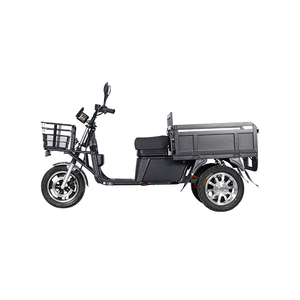 Conception personnalisée Tricycle <span class=keywords><strong>solaire</strong></span> <span class=keywords><strong>électrique</strong></span> à 3 roues Cargo Truck Trade Motorcycle Bike <span class=keywords><strong>Prix</strong></span> - Product Image 1
