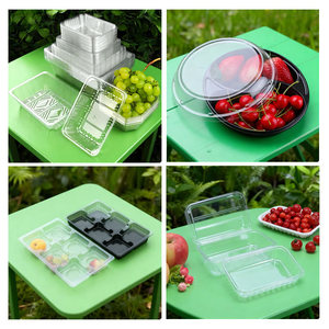 Đa chức năng PLA thermoforming ABS thermoforming tùy chỉnh thermoforming thiết bị thermoforming máy để bán - Product Image 6