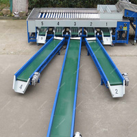 Groenten Grapefruit Oranje Fruit Grader Machine Appel Oranje Kiwi 'S Citroen Automatische Vruchtgewicht Sorteer