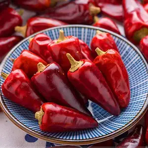 Factory Hot Sales Dry Red Chilli Pepper Rich Flavor Natural Red Chilli Pepper