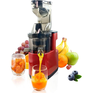 Extracteur de jus automatique en acier inoxydable à large goulot, avec capacité de 380 ml et séparation des résidus pour un jus pur et non concentré - Product Image 1