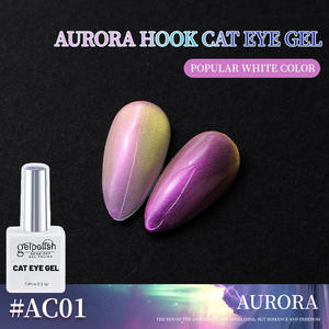 OEM/ODM <span class=keywords><strong>RONDIE</strong></span> Vernis gel UV magnétique longue durée oeil de chat avec LED durcissant perles de verre arc-en-ciel en bouteille pour Nail Art - Product Image 5