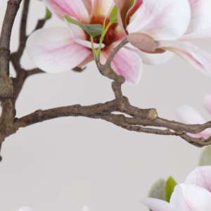 Plante artificielle en <span class=keywords><strong>pot</strong></span> en plastique Magnolia Denudata, décoration intérieure pour bureau, jardin, maison, plantes artificielles, plantes factices - Product Image 4