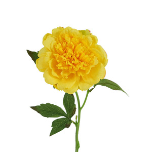 Fleurs artificielles réalistes, pivoine à grande tête, toucher réel, décoration d'intérieur, table à manger européenne, fleurs rouges, fleurs artificielles en gros - Product Image 4