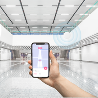 Baliza UWB Industrial de Largo Alcance IP67 para Rastreo de Activos, Baliza de Ubicación BLE 5.0 de Bajo Consumo para Centros Comerciales