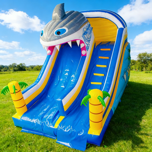 Toboggan aquatique gonflable sur le thème des requins, château gonflable commercial extérieur en PVC pour enfants, taille personnalisée, location pour fêtes, capacité 500 kg - Product Image 1