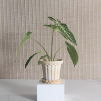 Pots en céramique écologiques de style colonne romaine italienne avec plateau de drainage pour la décoration moderne de la maison et du jardin et l'arrangement de plantes vertes