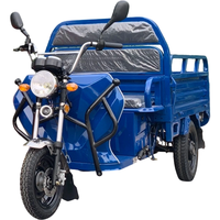 3-Rad-Elektrotrike 1200W für Baustellen-Materialtransport Erwachsenen-Elektromotorrad Lasten-Rikscha