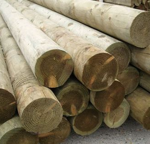 Postes de Cerca Eléctrica Resistentes (Madera) - Product Image 5