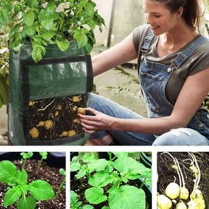Sac de culture pour pommes de terre en PE, sacs de semis de 7 gallons, sacs de culture pour plantes de jardin, pot de semis, sac de culture pour plantes - Product Image 6