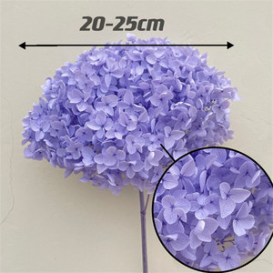 Rama Larga de Flor de Hortensia <span class=keywords><strong>Anna</strong></span> Preservada, Decorativa, Individual, para Decoración del Hogar, Bodas, Festivales, Eventos y Escenarios - Product Image 2
