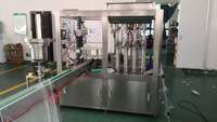 Distributeur automatique de jus de fruit de dragon frais à grande vitesse, machine de transformation des aliments, machine de remplissage de bouteilles liquides