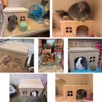 Rumah Kayu & Tempat Persembunyian Hewan Kecil untuk Hamster, Tikus, Gerbil, Kelinci - Struktur Bermain Hewan Peliharaan
