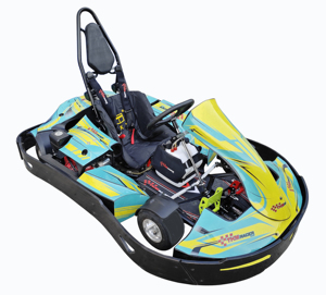 Karting de course F1 homologué CE, 200cc électrique, 4 temps, moteur 500cc, pédales <span class=keywords><strong>12V</strong></span>, karting de différentes tailles, 196cc, 270cc, 168cc - Product Image 3