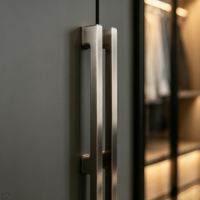 Armoire intégrée moderne de luxe en contreplaqué avec porte vitrée et éclairage LED, dressing sur mesure avec évier intégré et garantie de 5 ans