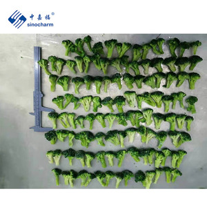 Sinocharm BRC-A Approvato 3-6g IQF Tutta Broccoli Congelati Broccoli Per La Cottura Tagliatelle - Product Image 4