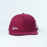 Casquette snapback vintage en coton personnalisée avec logo brodé, casquette hip hop, casquettes à visière plate cool pour hommes