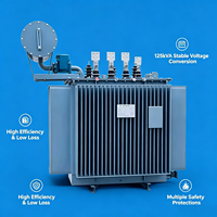 Transformateur de distribution triphasé immergé dans l'huile de 125 kVA |   60Hz ANSI/IEEE |   Transformateur monté sur socle pour sous-station industrielle américaine